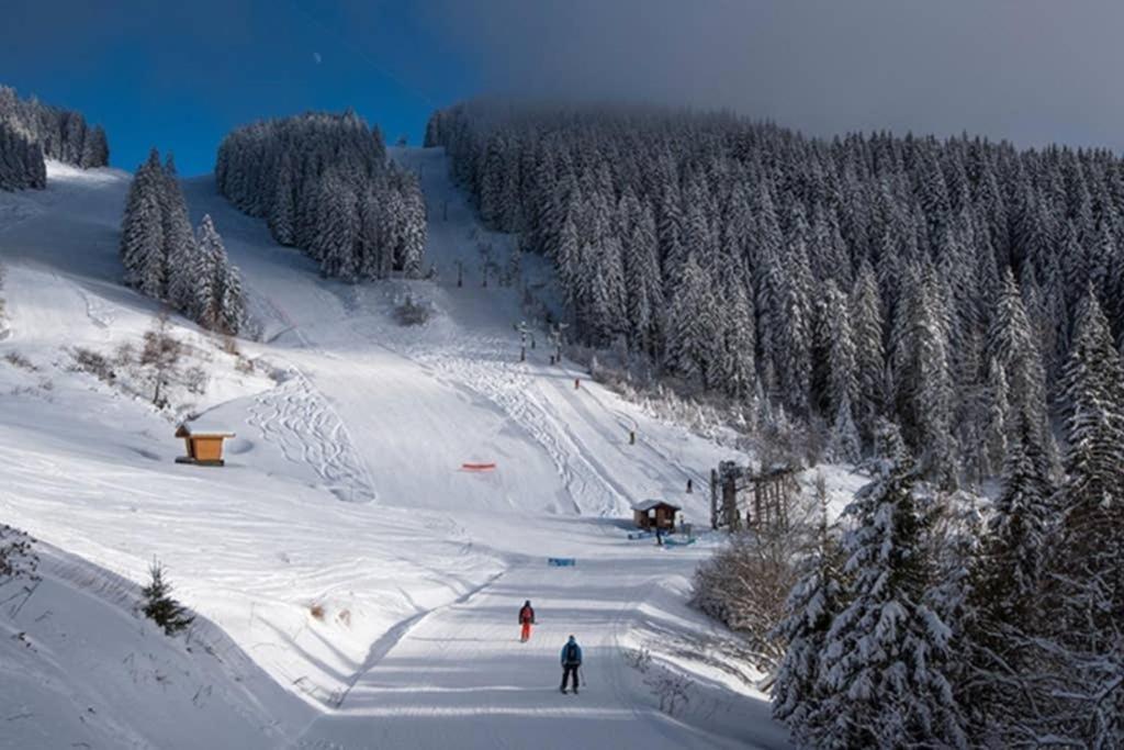 L'Enchalpe, Grand Et Lumineux Studio Avec Coin Montagne 5 Personnes, 60M Des Pistes, Piscine Couverte, Wifi, Grand Balcon Expo Est, Draps Non Compris Saint-Jean-dʼAulps Exteriör bild